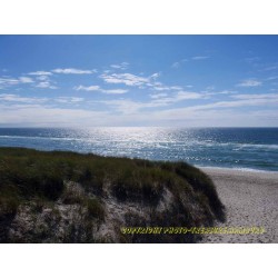 Meerblick mit Düne 15