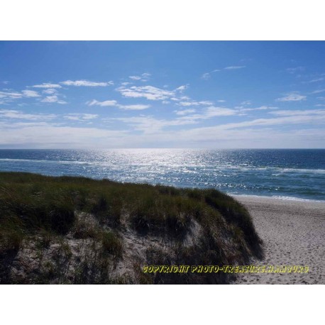 Meerblick mit Düne 15