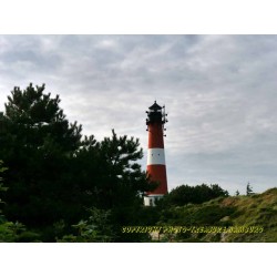 Leuchtturm mit Kiefer 17