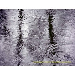 Regentropfen im Fluß.