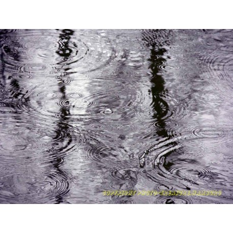 Regentropfen im Fluß.