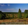 Typische Landschaft in der nördlichen Lüneburger Heide.
