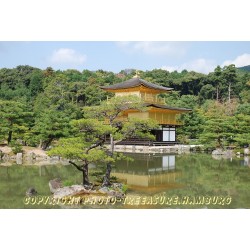 Goldener Pavillion-Tempel