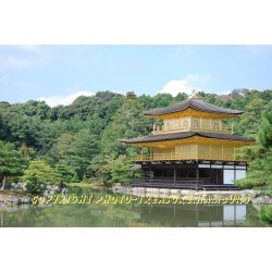 Goldener Pavillon-Tempel