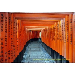 Tori-Weg zum Fushimi-Schrein.