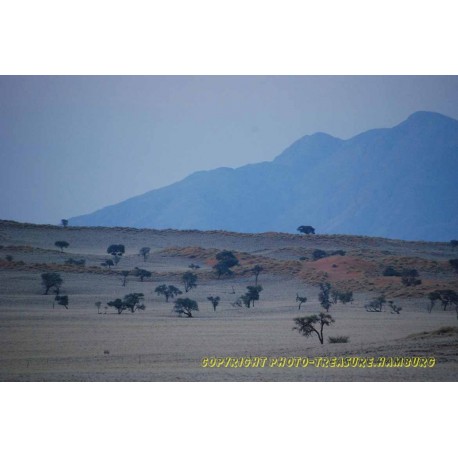 Savanne mit Tirasbergen.