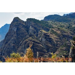 Am Mambo view point.