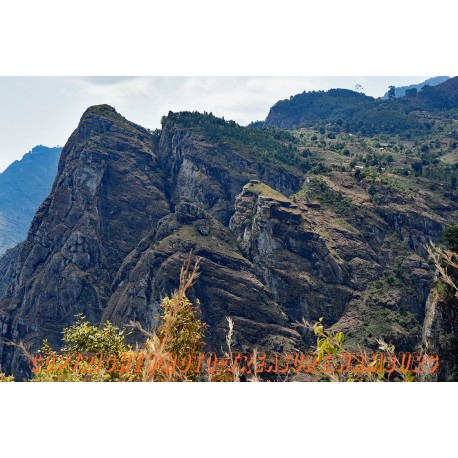 Am Mambo view point.