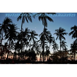 An der Südostküste von Sansibar.