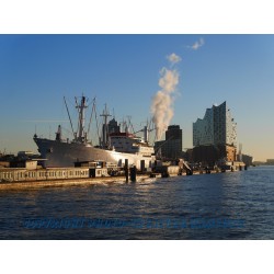 Die "Cap San Diego" mit der Elbphilharmonie.