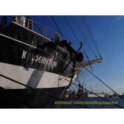 Bug der Kruzenshtern.