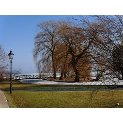 Kleine Insel mit Holzbrücke.