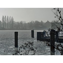 Am Schweriner Innensee.