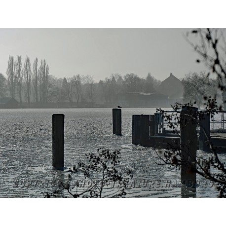 Am Schweriner Innensee.