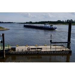 Elbelandschaft am Zollenspieker Fährhaus.