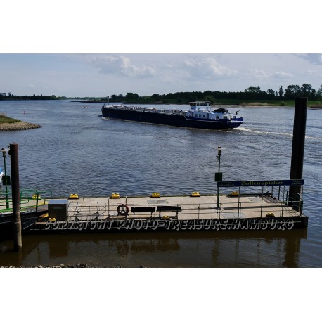 Elbelandschaft am Zollenspieker Fährhaus.