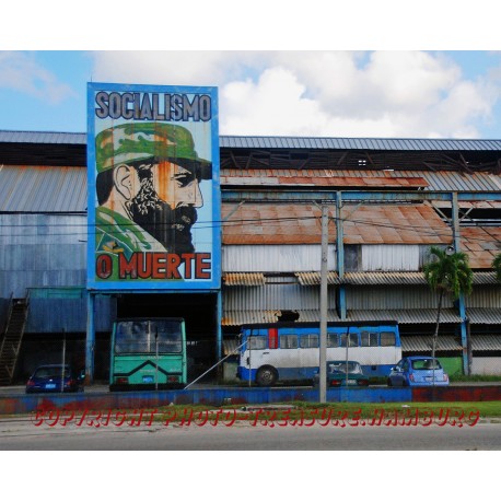 Porttrait von Fidel Castro.