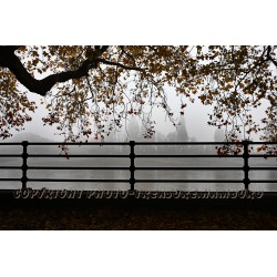 Am Morgen im Bishops Park, Fulham.