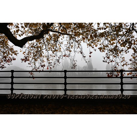 Am Morgen im Bishops Park, Fulham.