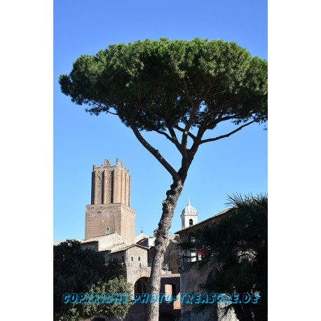 Blick auf den Torre dell Milizie, Rom.