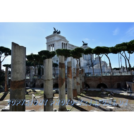 Im Forum Romanum, Rom.