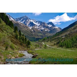 Die Bärentaler Spitze mit Plattner Alm.
