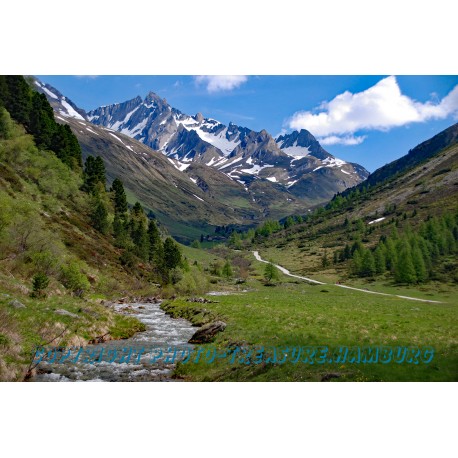 Die Bärentaler Spitze mit Plattner Alm.