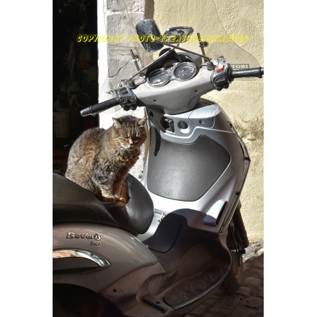 Siesta auf einer Vespa!