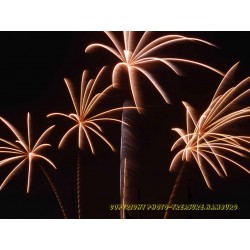 Feuerwerk 8