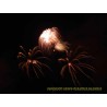 Feuerwerk 13