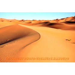Sanddüne in Erg Chebbi.