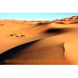 Sanddüne in Erg Chebbi 2.