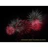 Feuerwerk 17