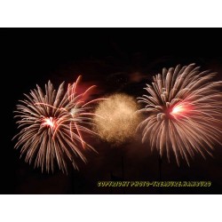 Feuerwerk 19