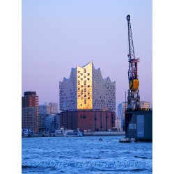 Elbphilharmonie 7.