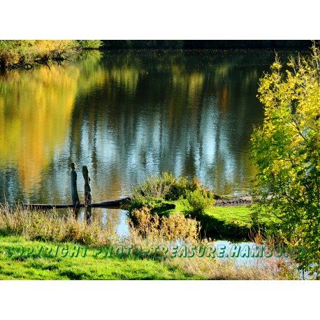 An der alten Süderelbe.