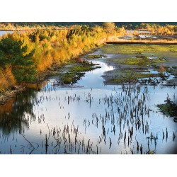 Im Tister Bauernmoor 3.