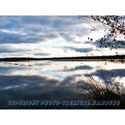 Im Tister Bauernmoor 4.