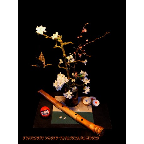 Frühlingserwachen ...