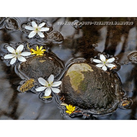 Vom Wind verweht ...