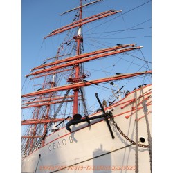 Bug der "SEDOV"