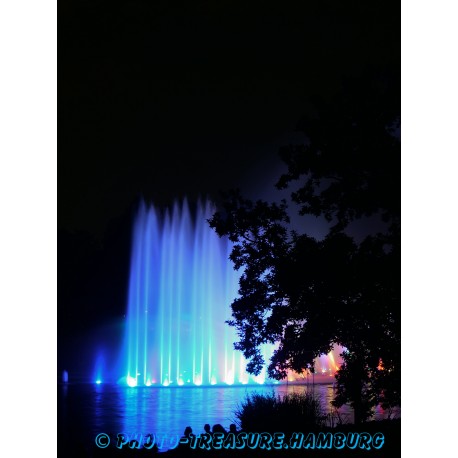 Wasserlichtspiele in Planten un Blomen 1.
