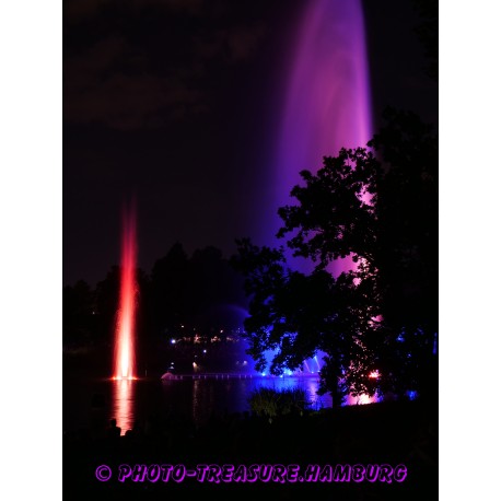 Wasserlichtspiele in "Planten un Blomen" 3.