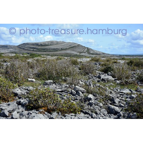 Mullaghmore Mountain.