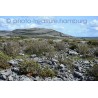 Mullaghmore Mountain.