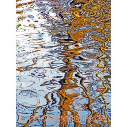 Wasserspiegelung im Frühling.